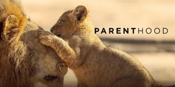 Parenthood Review
