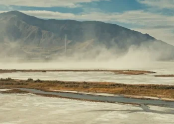 The Lake Review