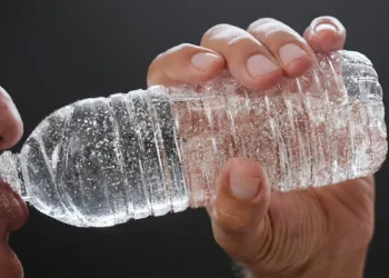 The Plastic Detox Review