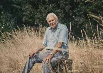 King Charles, Prince William and a Hedgehog Help BBC Mark David Attenborough's 100th Birthday in Style David Attenborough