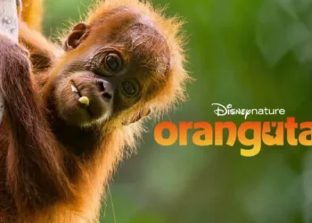 Orangutan Review