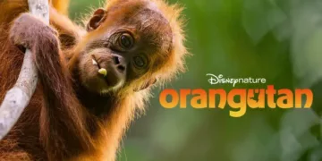 Orangutan Review