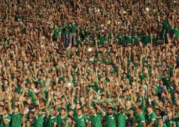 Ultras Review
