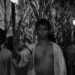 Black Zombie Review