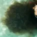 Esta Isla Review