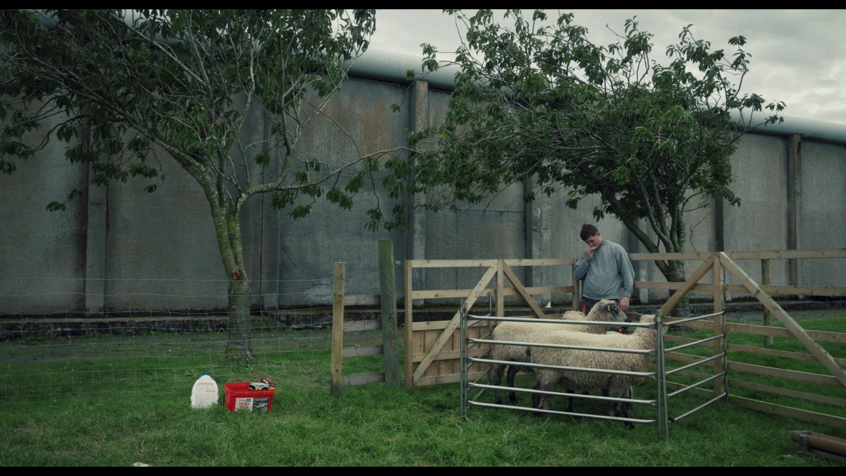 Magilligan Review: Jail as DNA 42 Magilligan Review