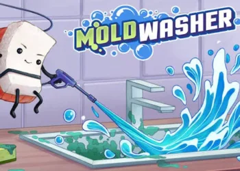 Moldwasher Review