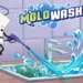 Moldwasher Review