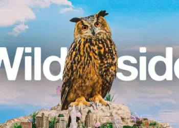 Wild Inside Review