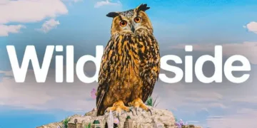 Wild Inside Review