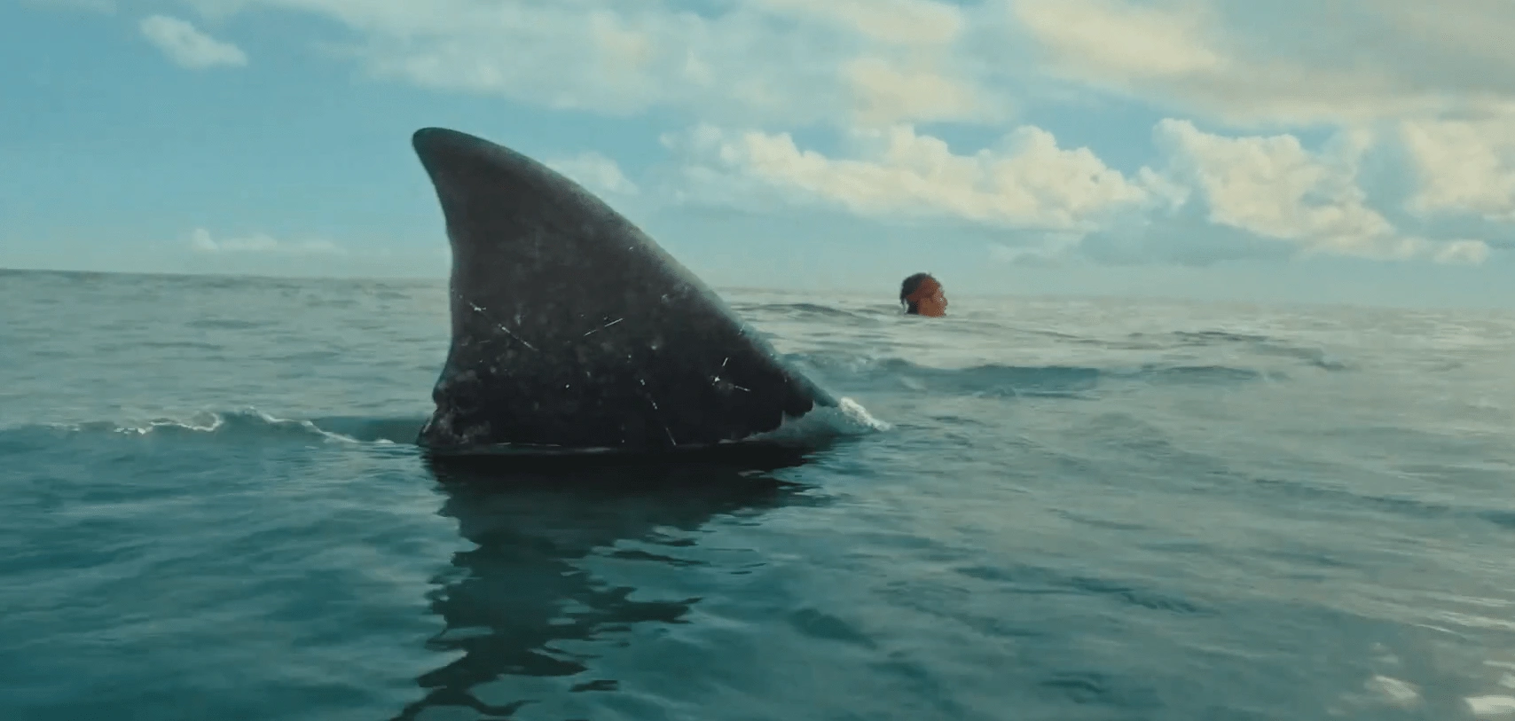 The Bay Review: Human Panic Spoils the Hunt 42 The Bay Review
