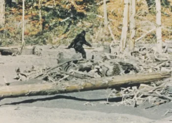 Capturing Bigfoot Review