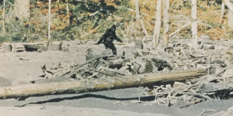 Capturing Bigfoot 1