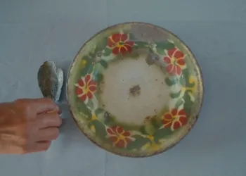 How to Feed a Dictator Review