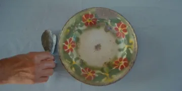 How to Feed a Dictator Review