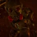 S.T.A.L.K.E.R. 2: Heart of Chornobyl - Cost of Hope Review