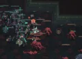 Skull Horde Review