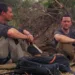 Bear Grylls Is Running Wild Review
