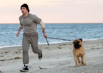 I Play Rocky Review