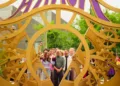 Wonka’s the Golden Ticket Review