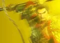 Dynasty Warriors 3 Complete Edition Remastered Review