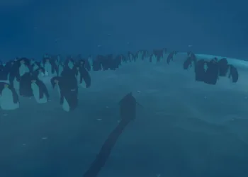 Penguin Colony Review