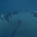 Penguin Colony Review