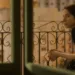 Shadows of Beirut