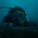 Whalefall Review