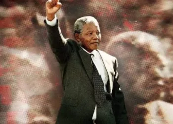 Free Nelson Mandela Review