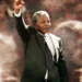 Free Nelson Mandela Review